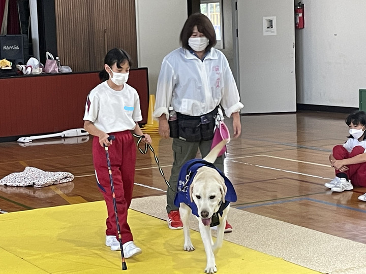 Inkedimg_8878_li