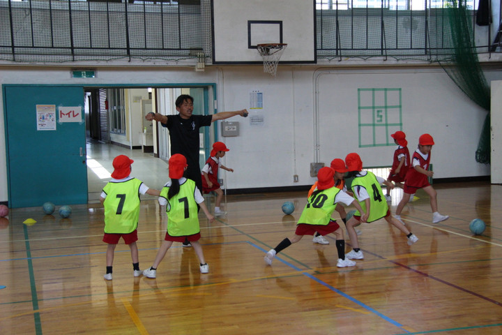 Img_7246 Img_7246